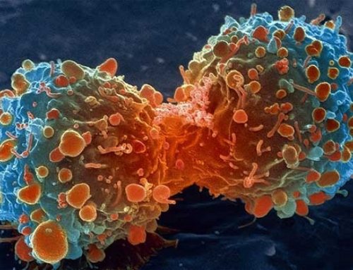 Les scientifiques guérissent le cancer, mais personne n’y prête attention